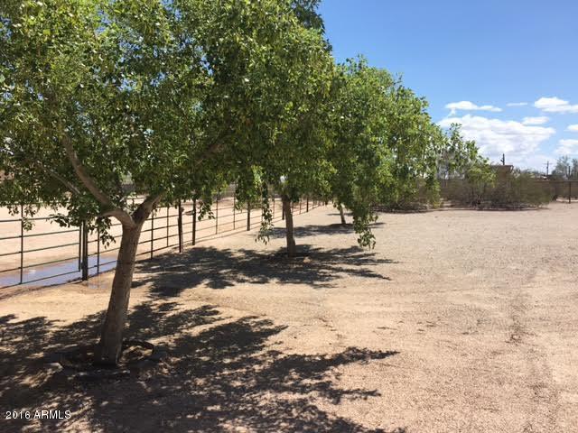 9311 North Diffin Road Florence, AZ 85132 - Photo 16 of 36 trees