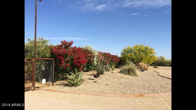 9311 North Diffin Road Florence, AZ 85132 - Photo 36 of 36 diffin front flowers
