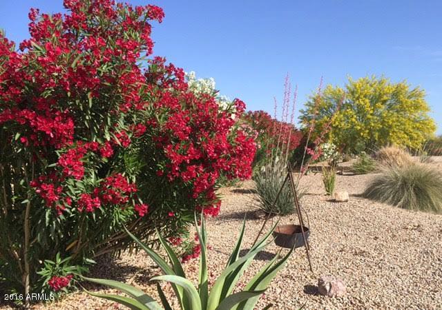 9311 North Diffin Road Florence, AZ 85132 - Photo 5 of 36 Oleanders