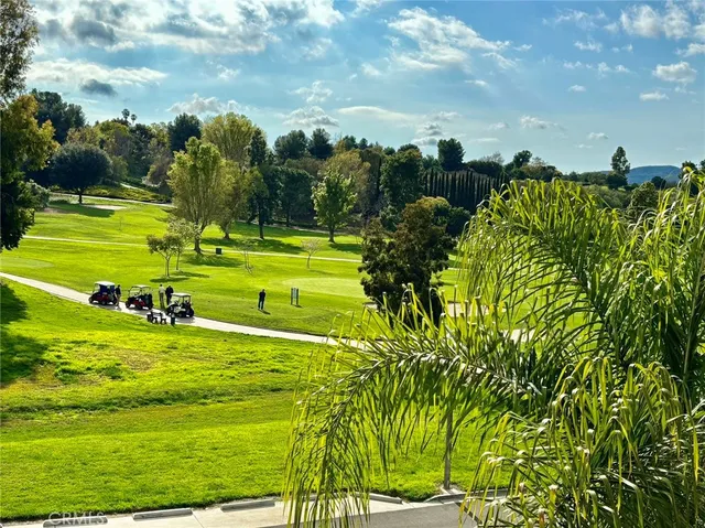 a view of a swimming pool with a yard
