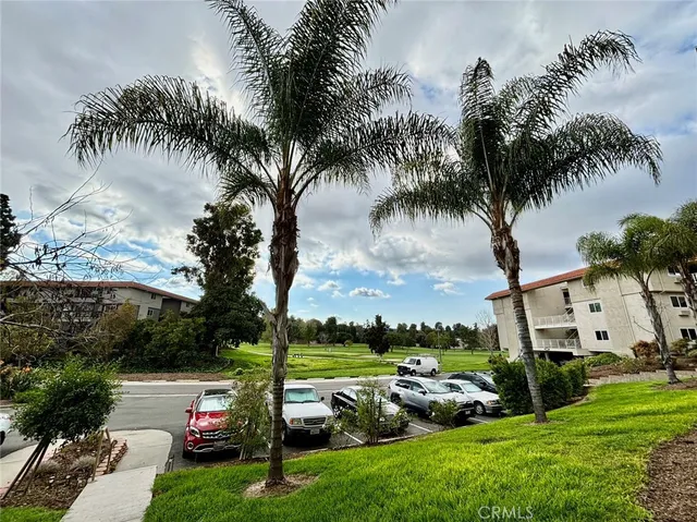 a view of a park with palm trees