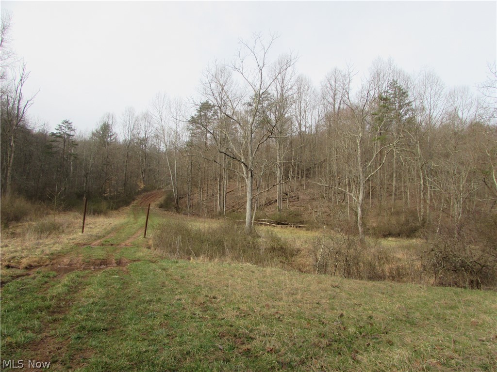 Round Stone Rd Street St. Marys, WV 26170 - Photo 12 of 14