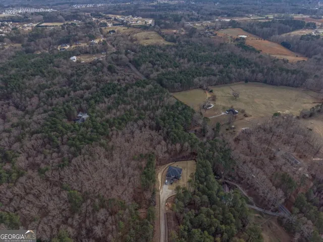a close up of a sink in a forest