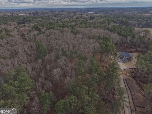 a view of a dry yard