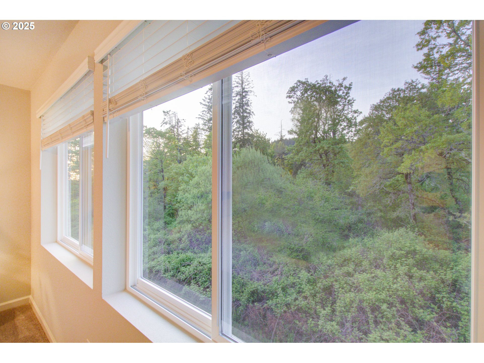 6750 North 89th Loop Camas, WA 98607 - Photo 26 of 36 View