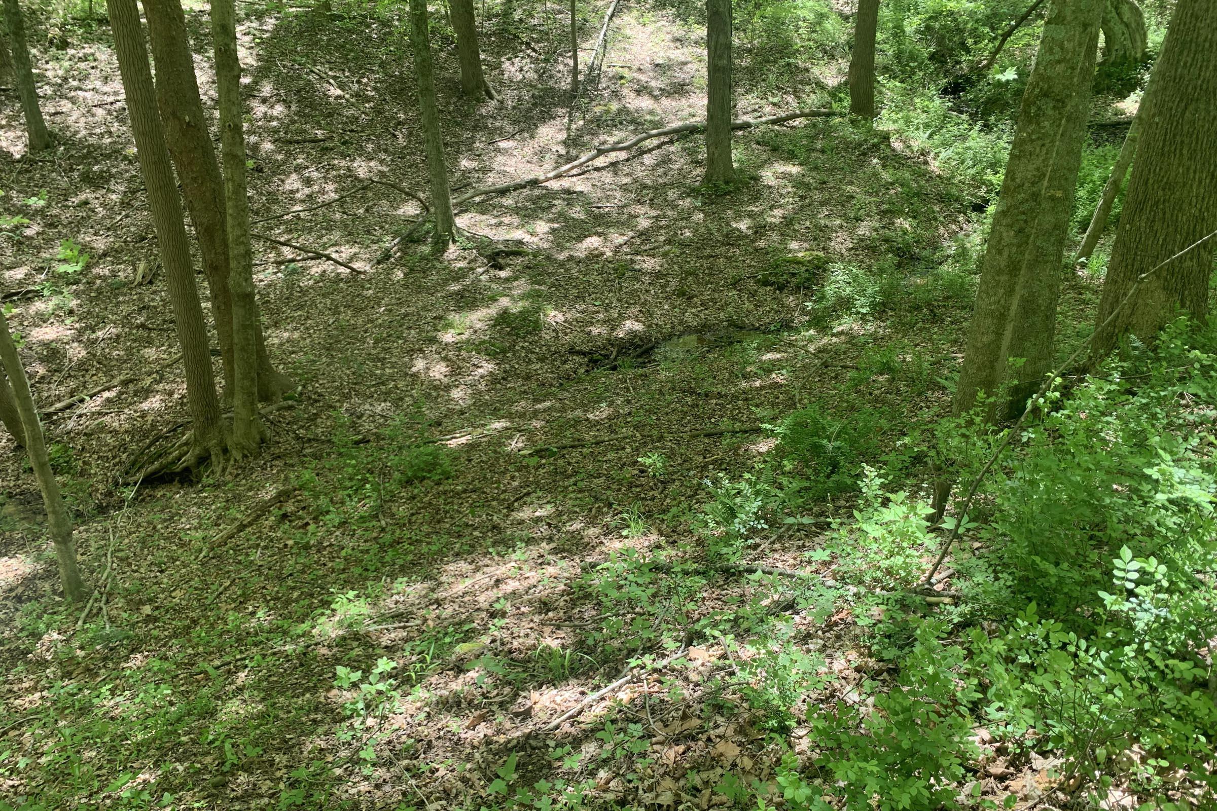 0 Tennant Road, Unit TRACT 2 Ray, OH 45672 - Photo 10 of 39 20230509_171451278_iOS