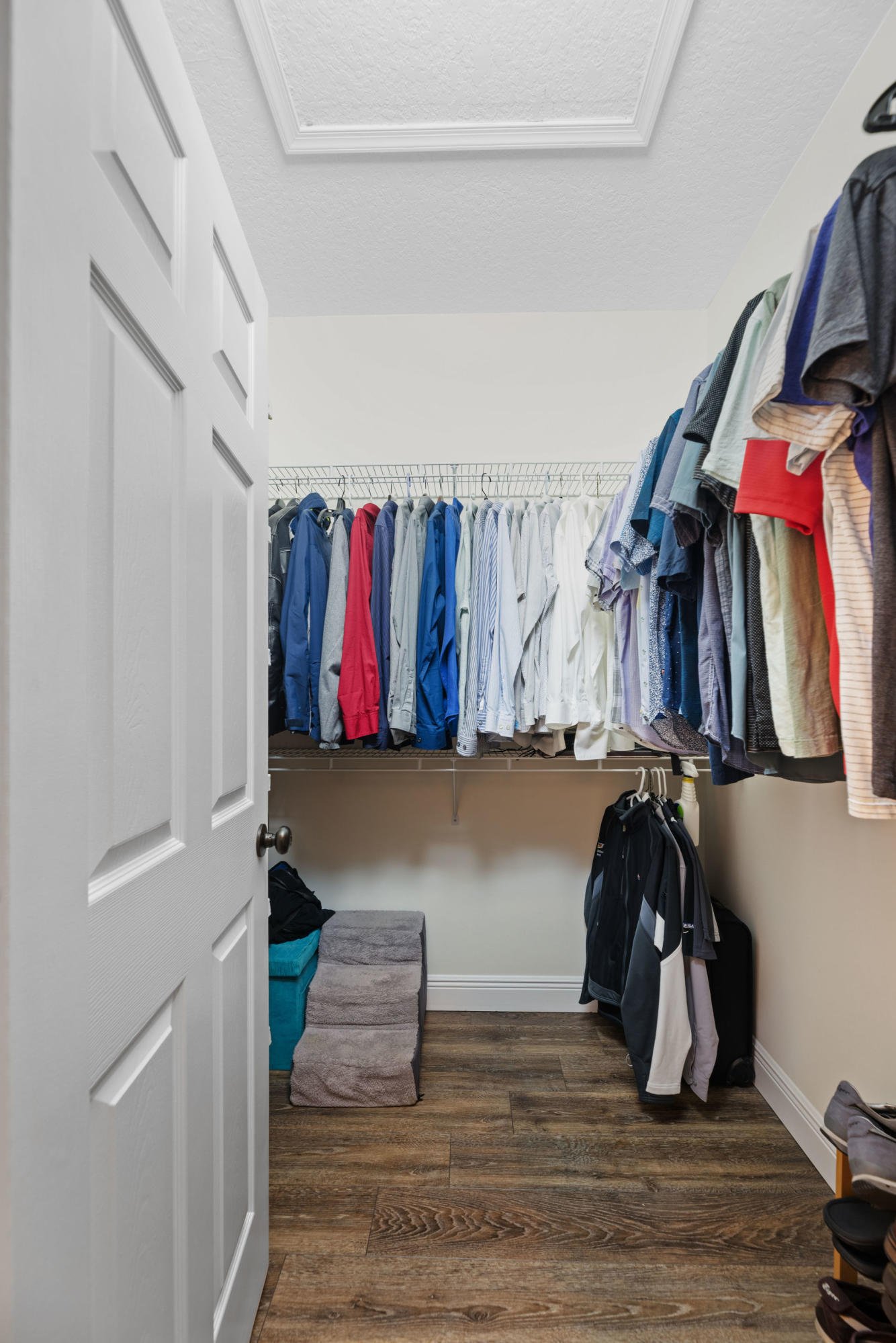 12785 Cocoa Pine Drive Boynton Beach, FL 33436 - Photo 30 of 47 Master - His Closet