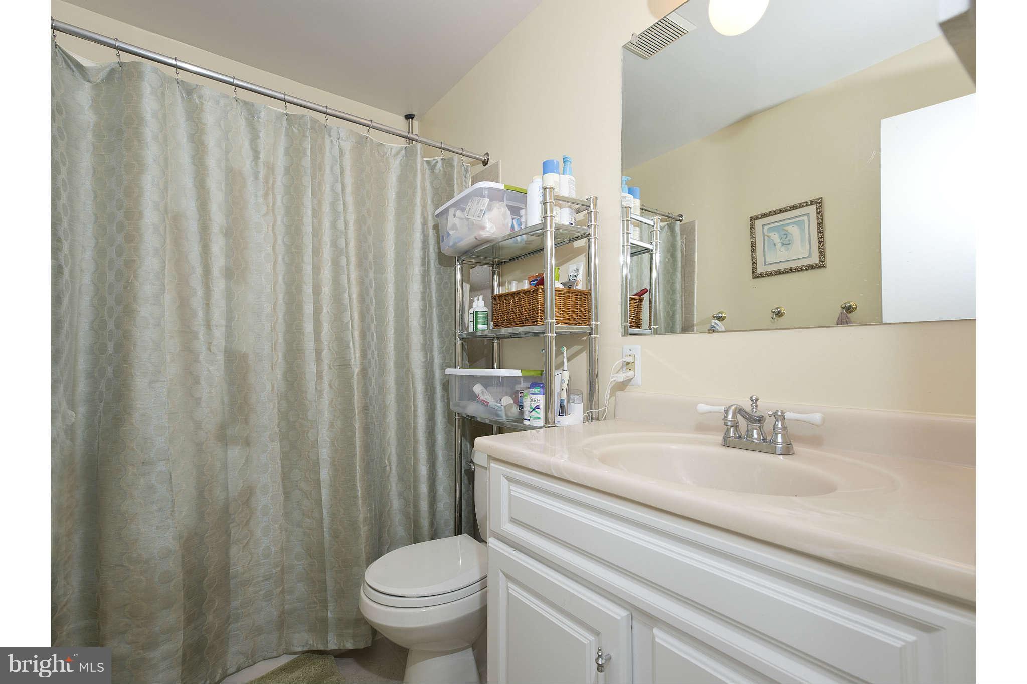 5214 Cather Road Springfield, VA 22151 - Photo 13 of 23 Bath (Master)