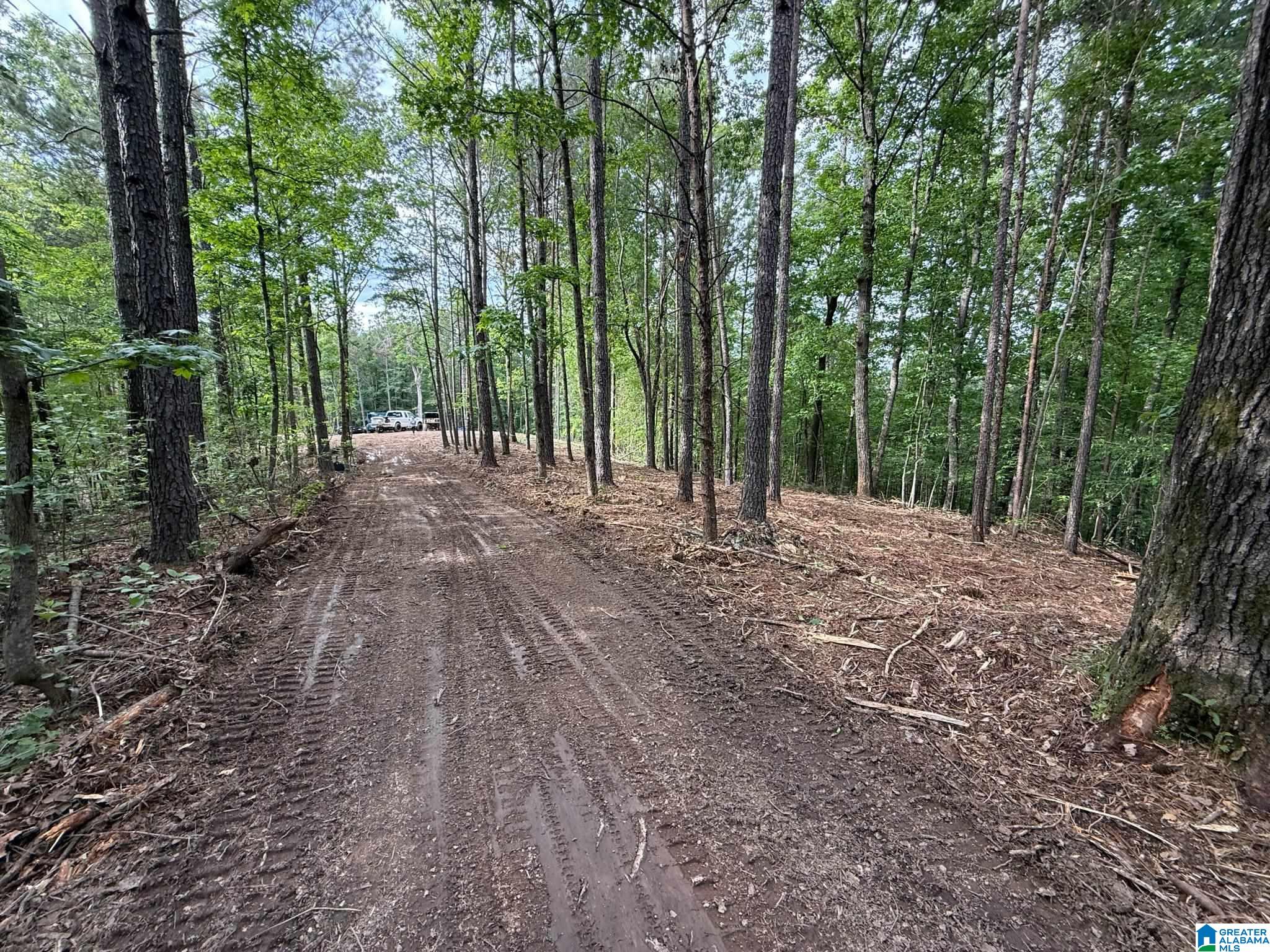 1215 Buddy Vines Camp Road Bessemer, AL 35023 - Photo 7 of 25
