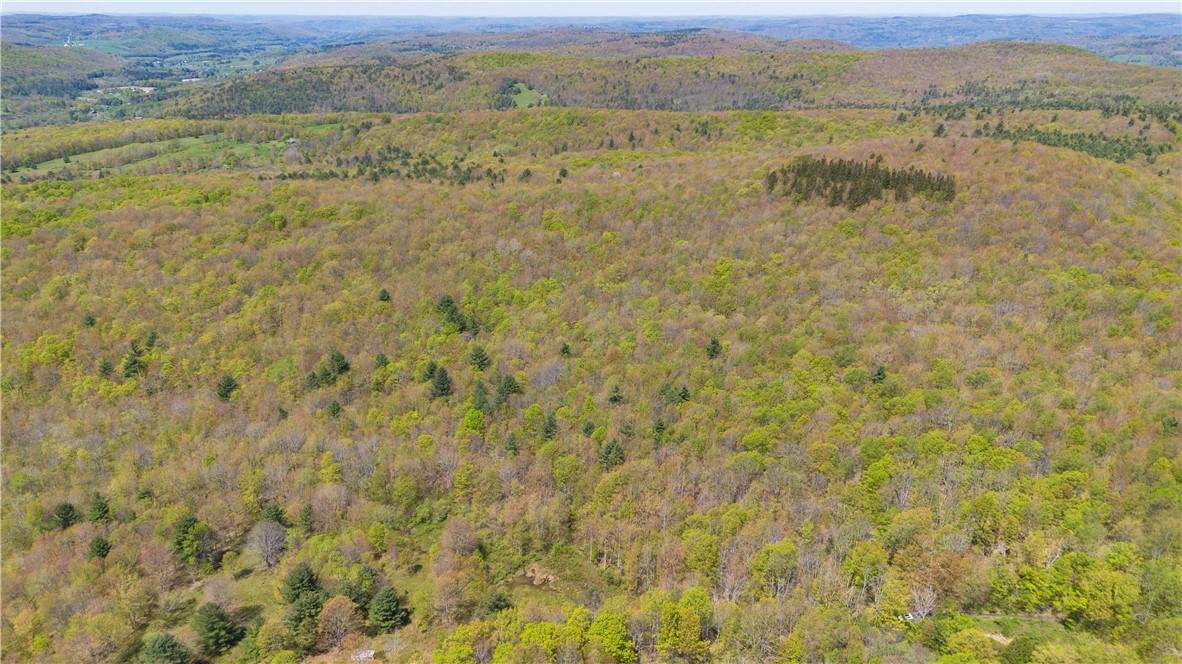 Sanly Road Franklin, NY 13775 - Photo 13 of 14