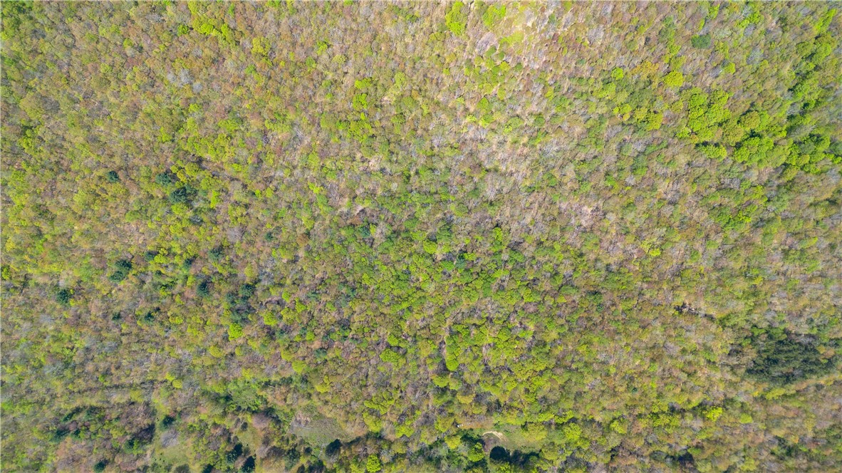 Sanly Road Franklin, NY 13775 - Photo 14 of 14