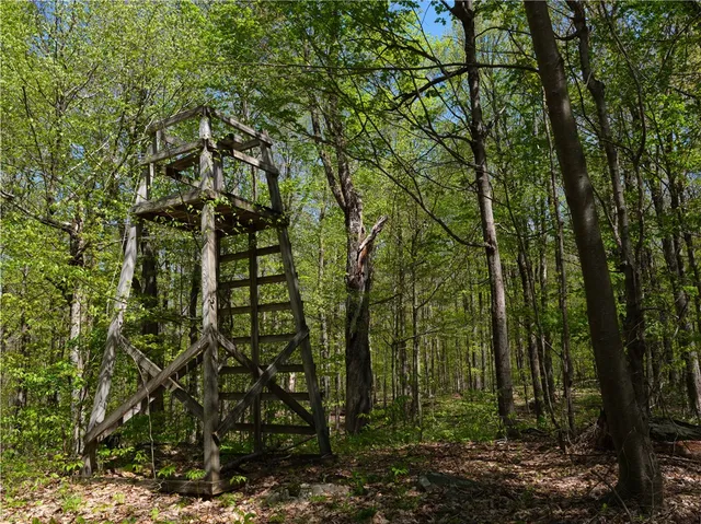 $350,000 | Sanly Road, Franklin, NY 13775