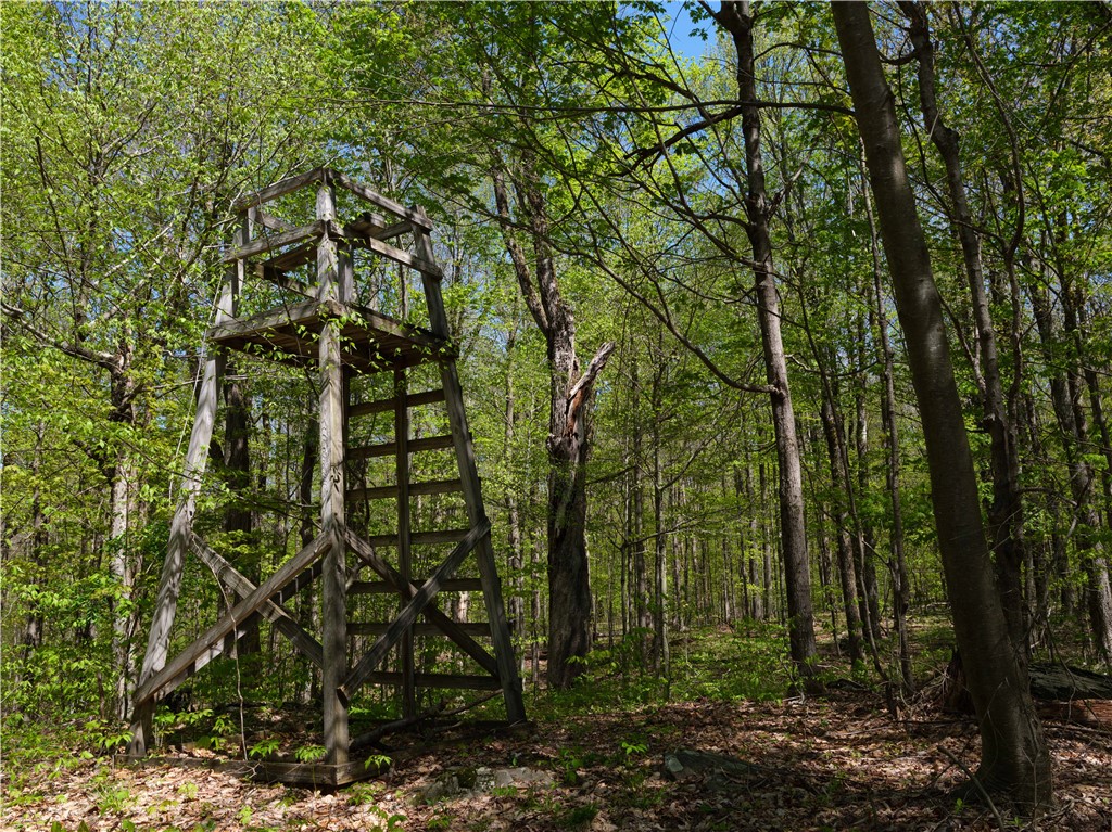 Sanly Road Franklin, NY 13775 - Photo 4 of 14