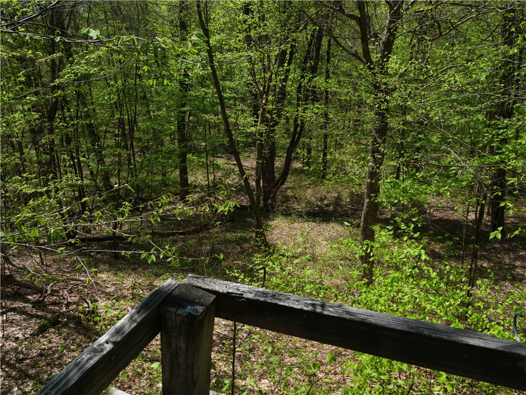 Sanly Road Franklin, NY 13775 - Photo 5 of 14