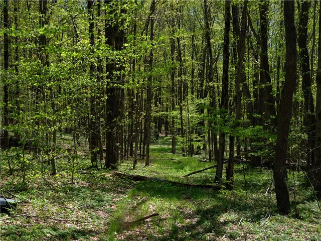 $350,000 | Sanly Road, Franklin, NY 13775