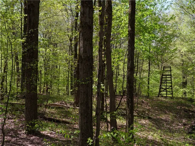 $350,000 | Sanly Road, Franklin, NY 13775