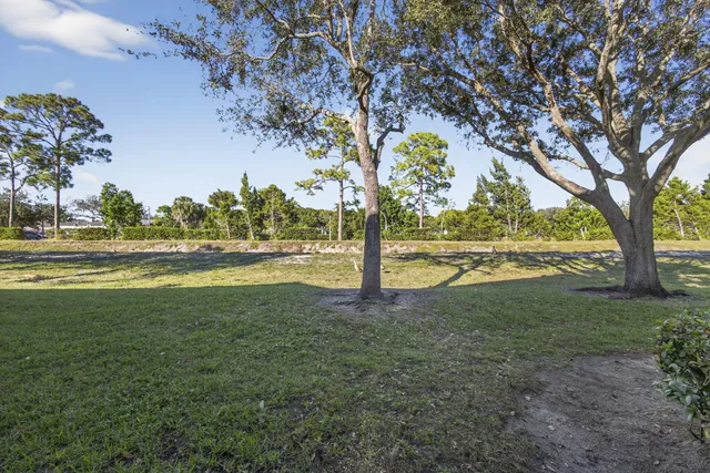 a view of a yard in front of a building