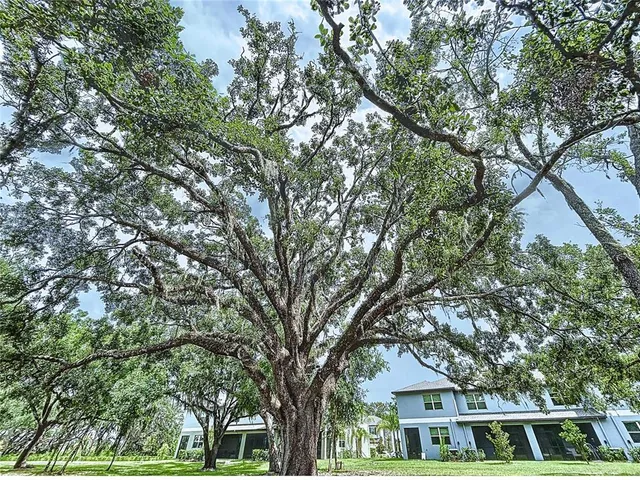 $297,000 | 30729 Veridian Way, Wesley Chapel, FL 33543