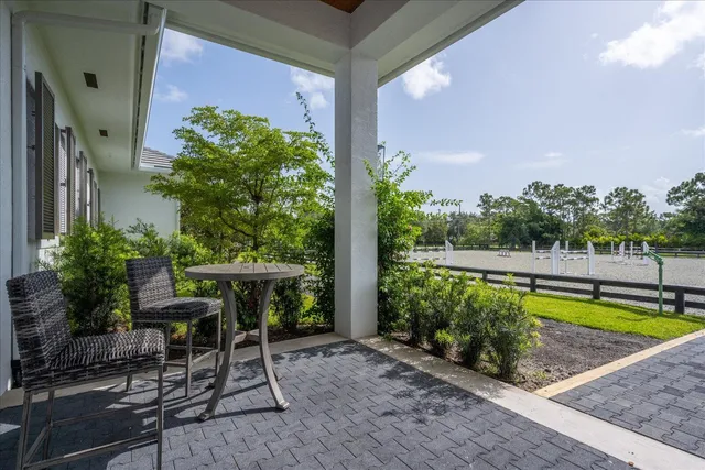 a view of a yard with plants and a trees