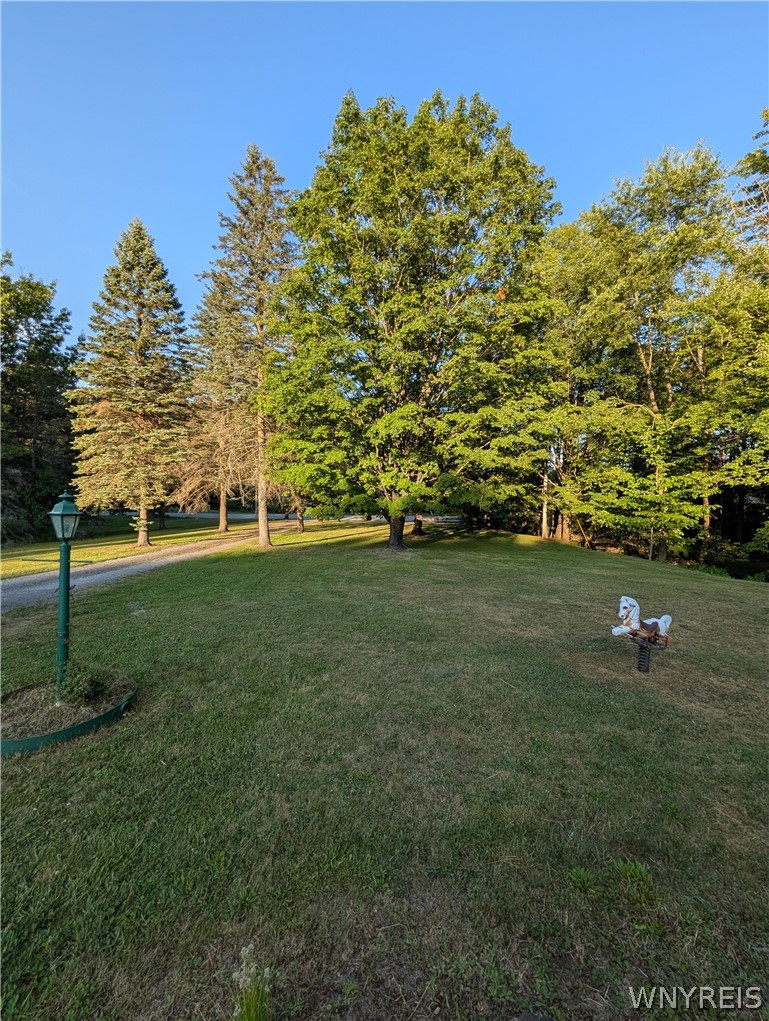 7236 Lower East Hill Road Boston, NY 14033 - Photo 3 of 26