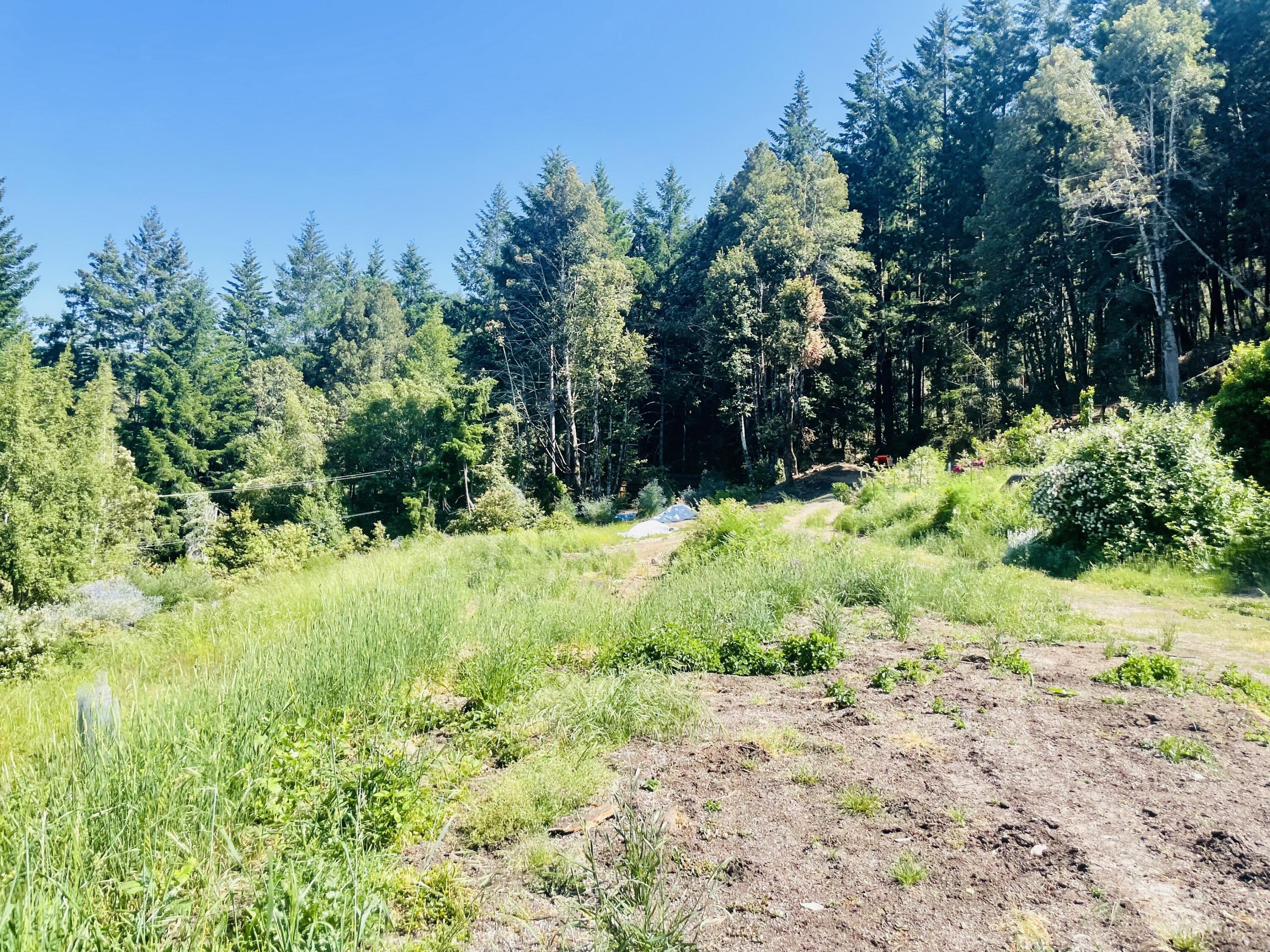 360 Graycliff Road Garberville, CA 95542 - Photo 52 of 63