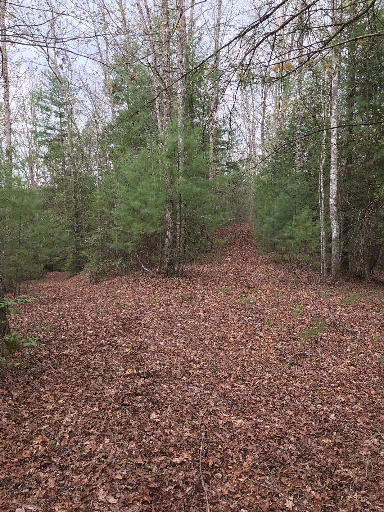 177 Mullins Point Road Campton, KY 41301 - Photo 68 of 85 Photo 68