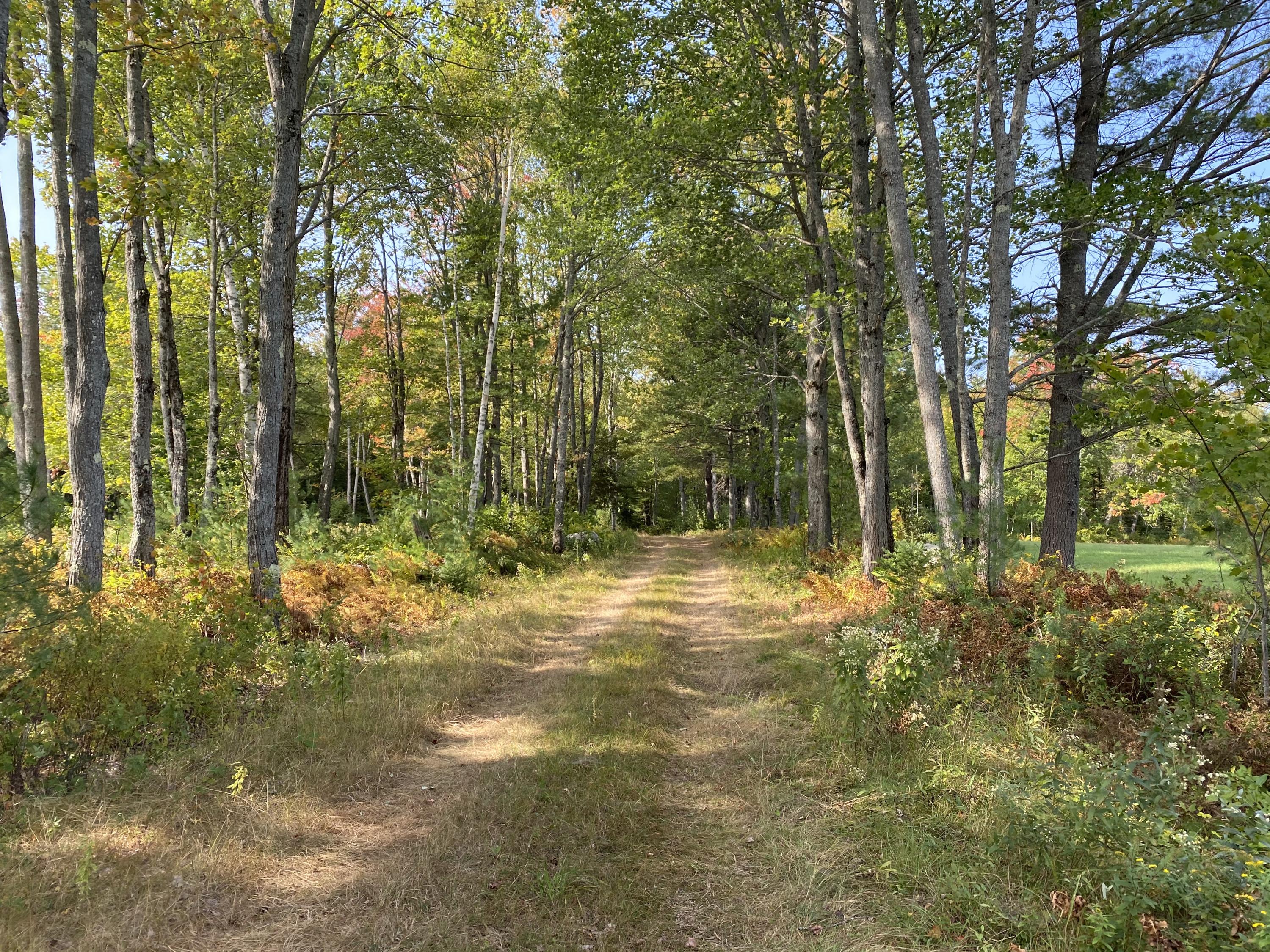 58 Morrill Farm Road Sumner, ME 04292 - Photo 29 of 31 IMG_0613