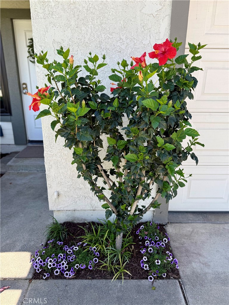 9042 Chaucer Circle Riverside, CA 92503 - Photo 3 of 22