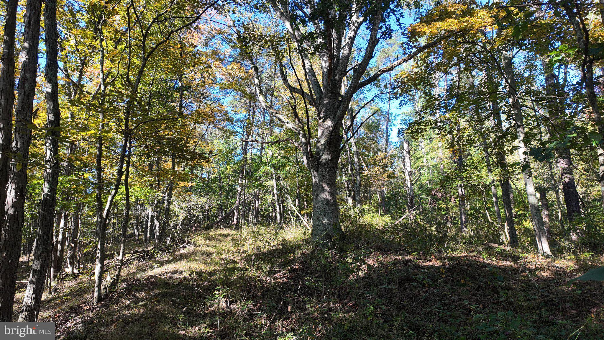 Cold Run Valley Road Berkeley Springs, WV 25411 - Photo 74 of 83 Gallery Image 74