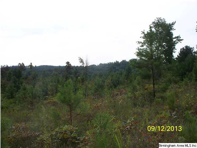 78 Highway 78, Unit 85 Fruithurst, AL 36262 - Photo 4 of 11