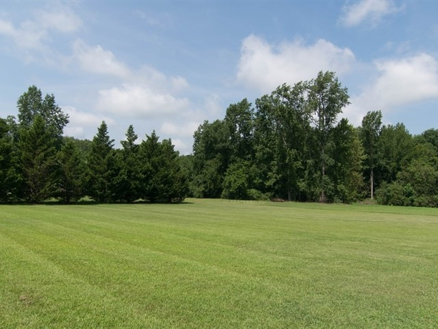 12415 Buffalo Road Clayton, NC 27527 - Photo 22 of 25 Photo 22
