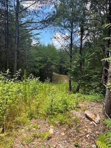 5 Owl Hollow Road Southwest McDonald, TN 37353 - Photo 17 of 32