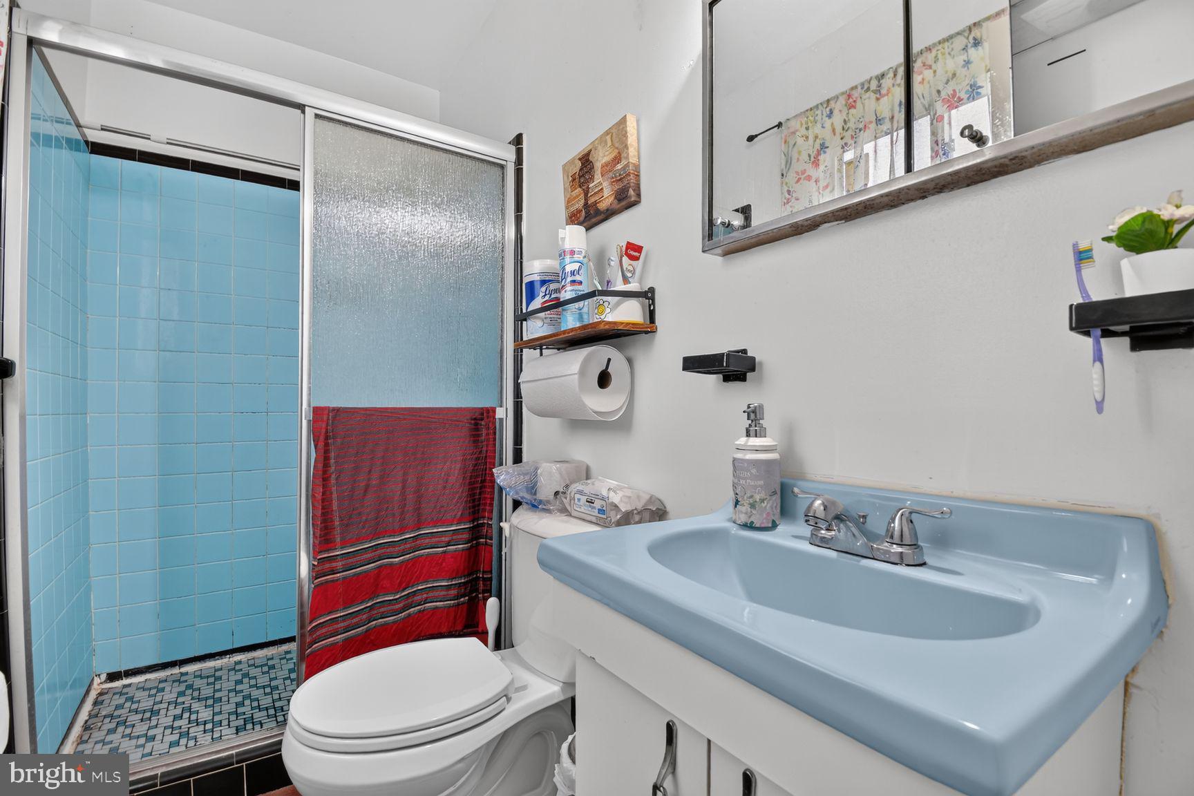 1207 Oakview Drive Silver Spring, MD 20903 - Photo 12 of 25 Charming bathroom with vibrant accents.