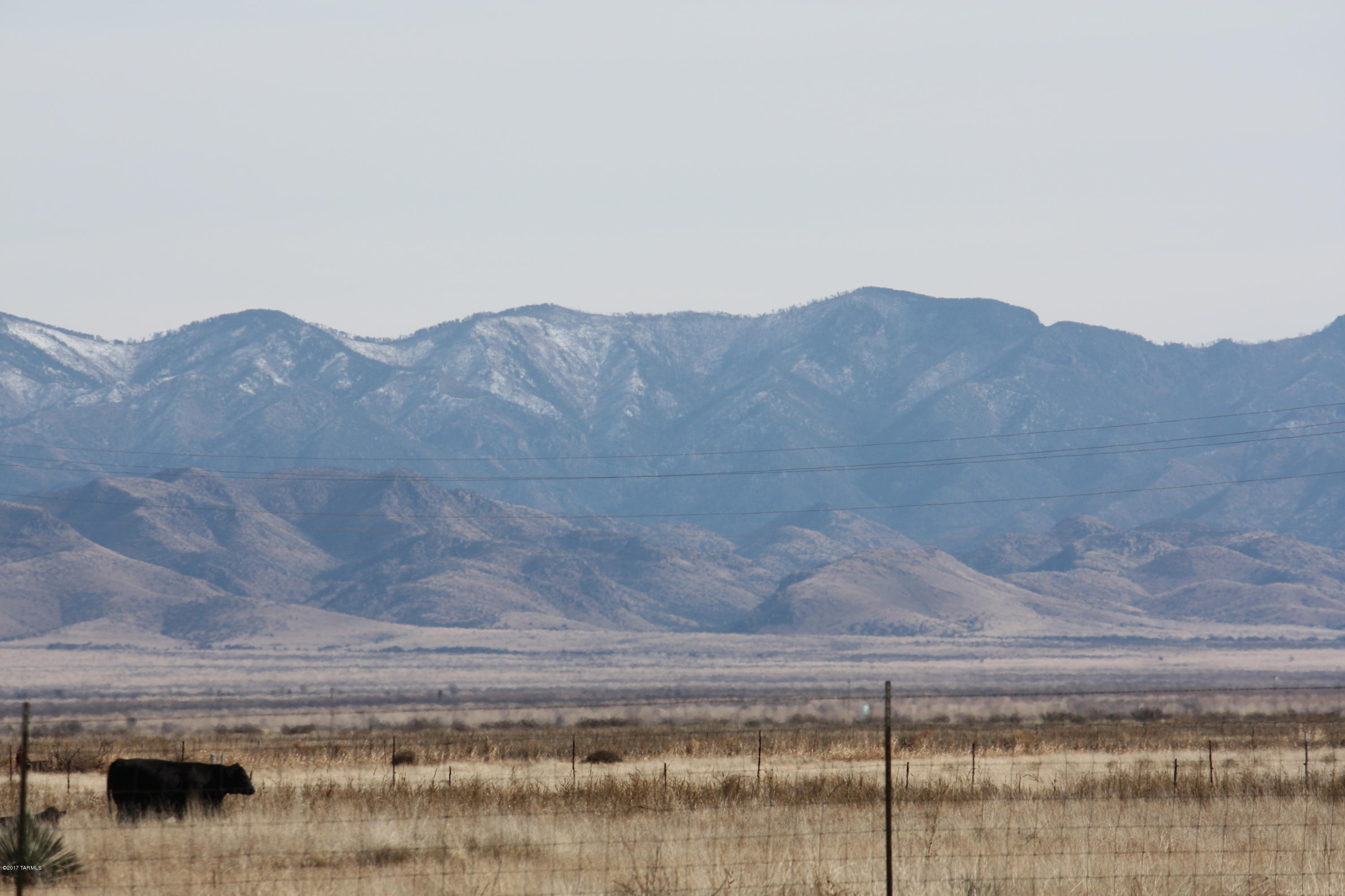 Nichols Ranch Road Willcox, AZ 85643 - Photo 3 of 8