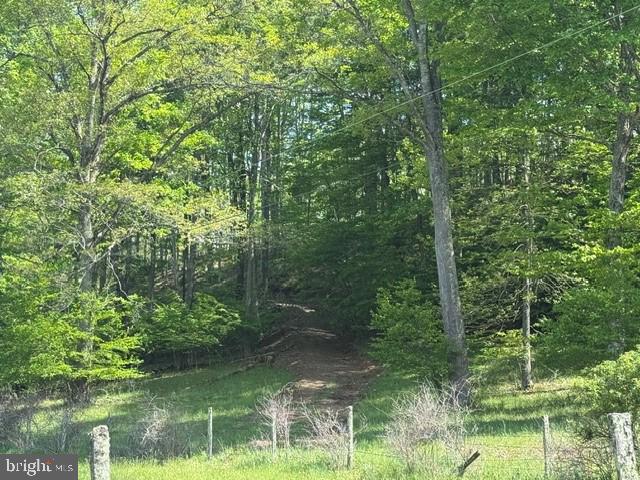 Tbd Shaffers Run Road Mill Creek, WV 26280 - Photo 22 of 43