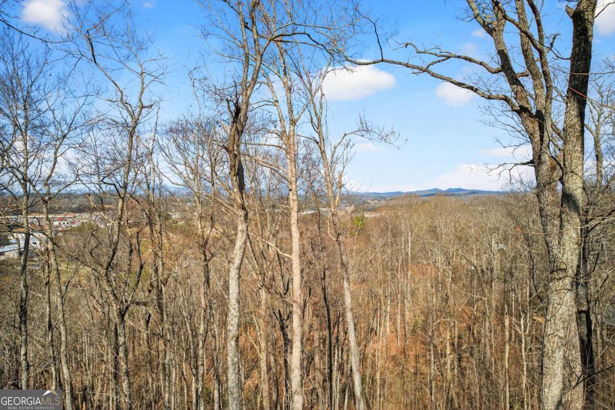 225 Eagles Nest Lane Blue Ridge, GA 30513 - Photo 11 of 45