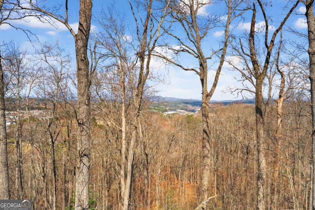 225 Eagles Nest Lane Blue Ridge, GA 30513 - Photo 12 of 45