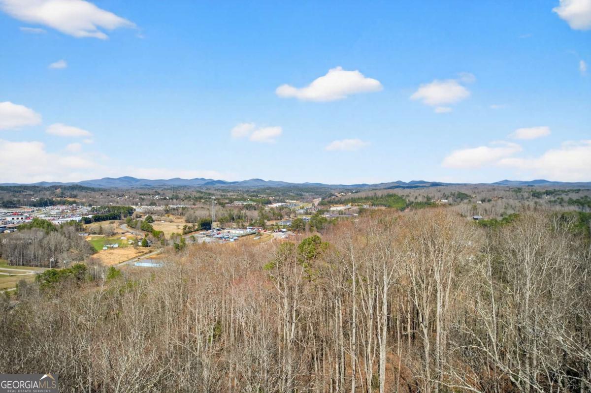225 Eagles Nest Lane Blue Ridge, GA 30513 - Photo 13 of 45