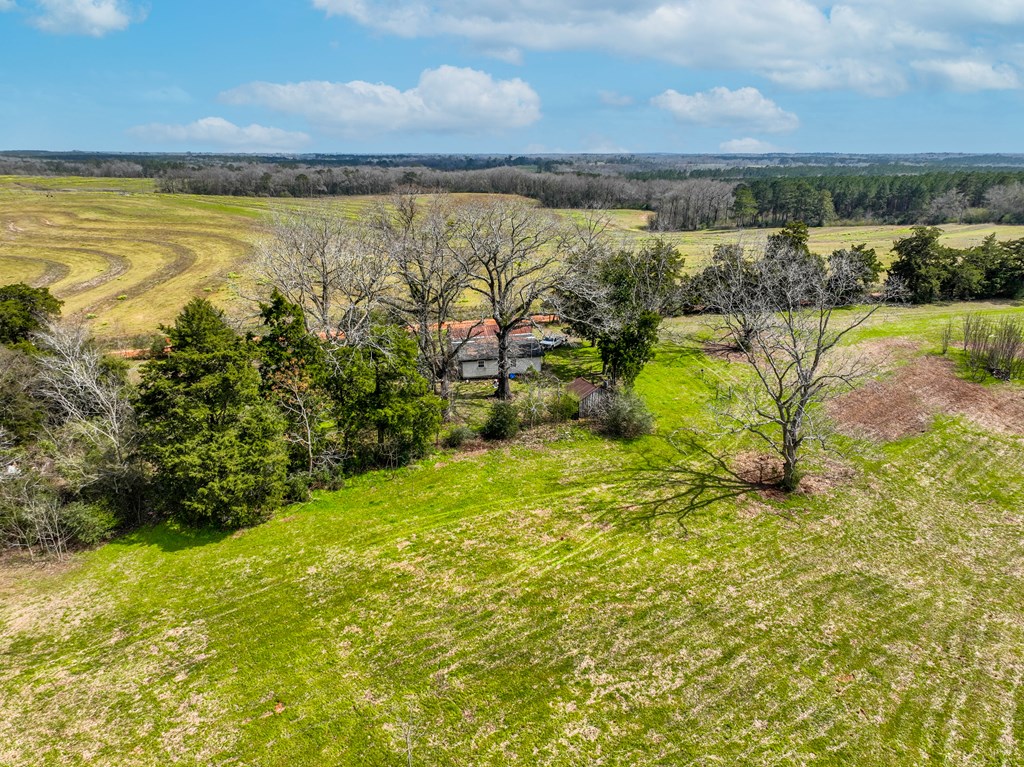 0 Double Creek Road Coffee Springs, AL 36318 - Photo 17 of 24