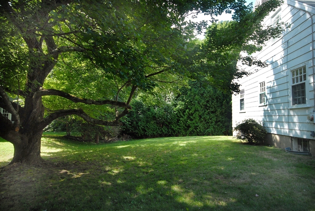 3 Sherburne Road Lexington, MA 02421 - Photo 35 of 42 a view of a tree in front of a house