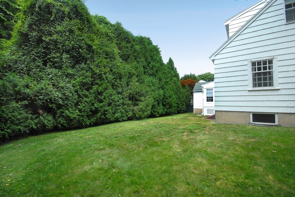 3 Sherburne Road Lexington, MA 02421 - Photo 36 of 42 a view of a backyard with plants and large trees