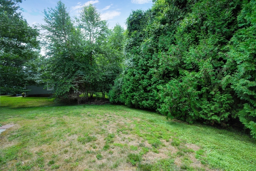 3 Sherburne Road Lexington, MA 02421 - Photo 39 of 42 a view of a green yard