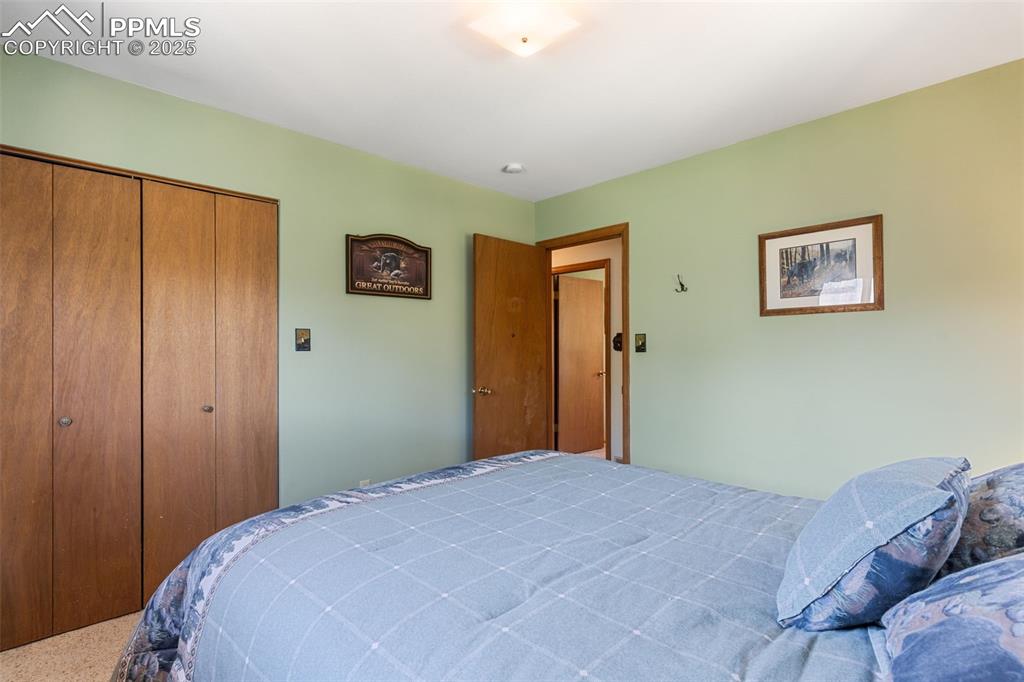 5580 Moosa Road Cascade, CO 80809 - Photo 21 of 35 a bedroom with a bed and a painting on the wall