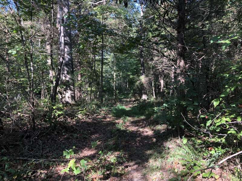 2998 North Toohey Ridge Road Cave City, KY 42127 - Photo 10 of 10 Gallery Image 10