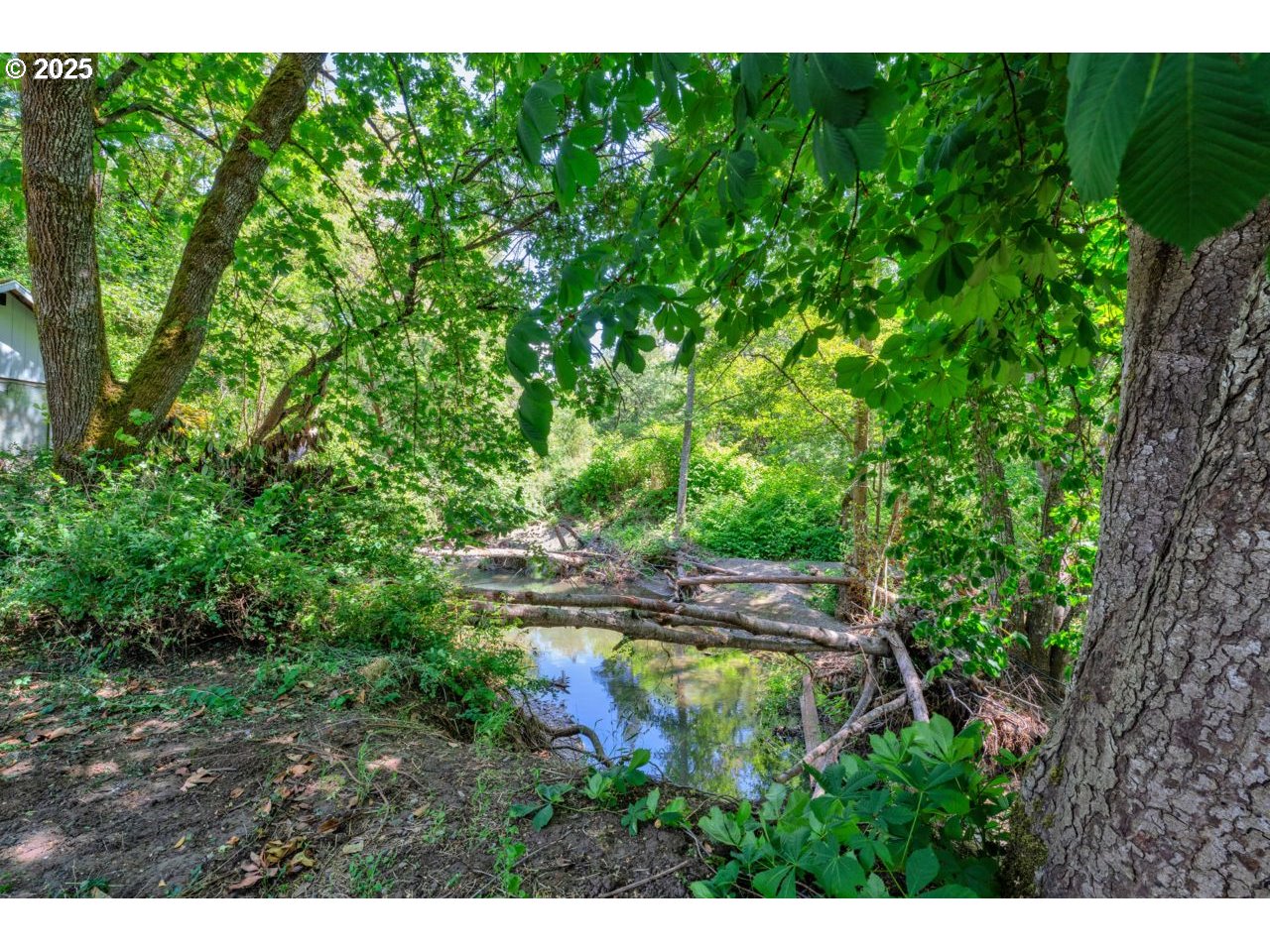 1541 Buckhorn Road Roseburg, OR 97470 - Photo 37 of 37 Gallery Image 37