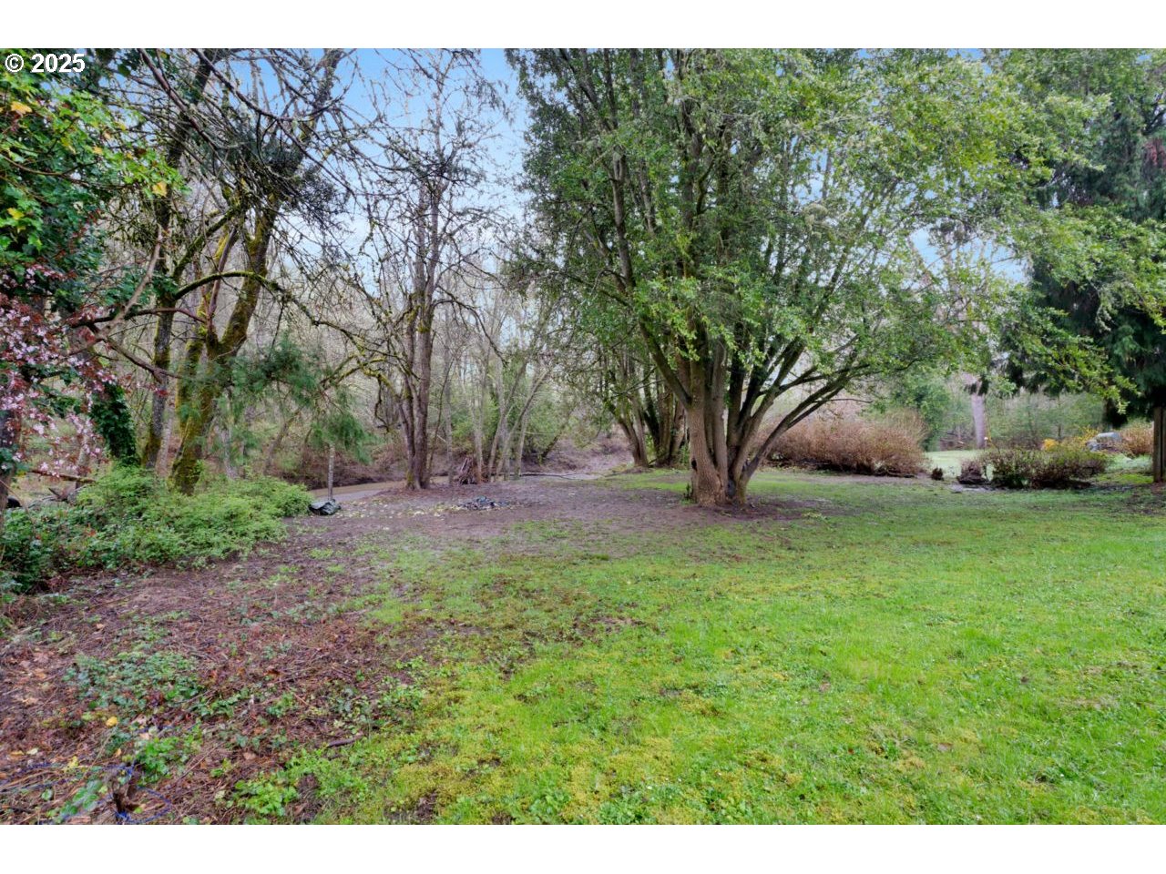 1541 Buckhorn Road Roseburg, OR 97470 - Photo 8 of 37 Gallery Image 8