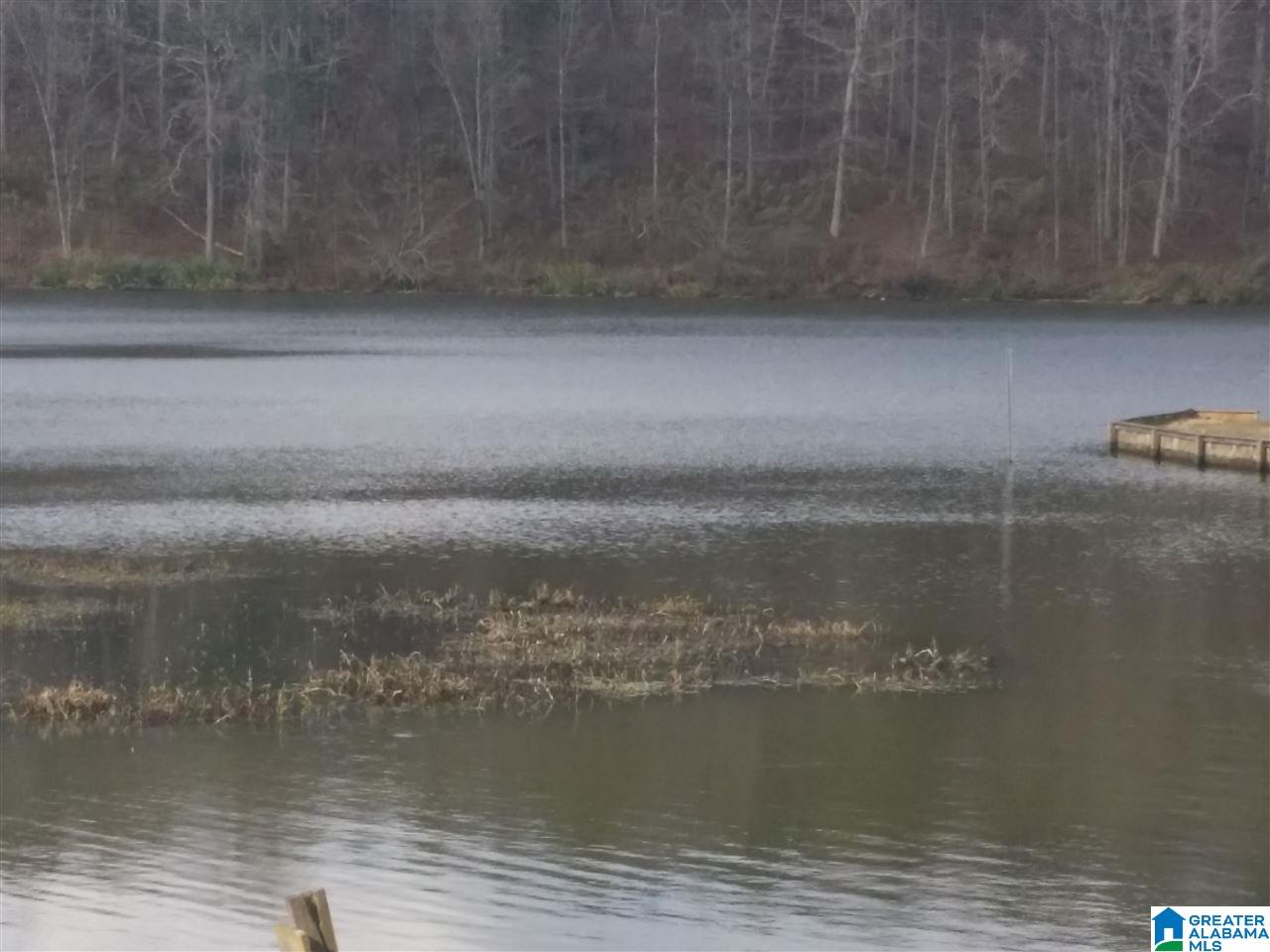 9091 Manley Vines Camp Road Bessemer, AL 35023 - Photo 5 of 15