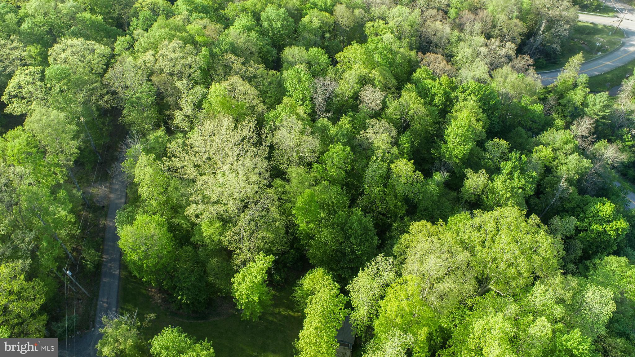 Red Run Heights Road Oakland, MD 21550 - Photo 18 of 24 an aerial view of a house with a yard