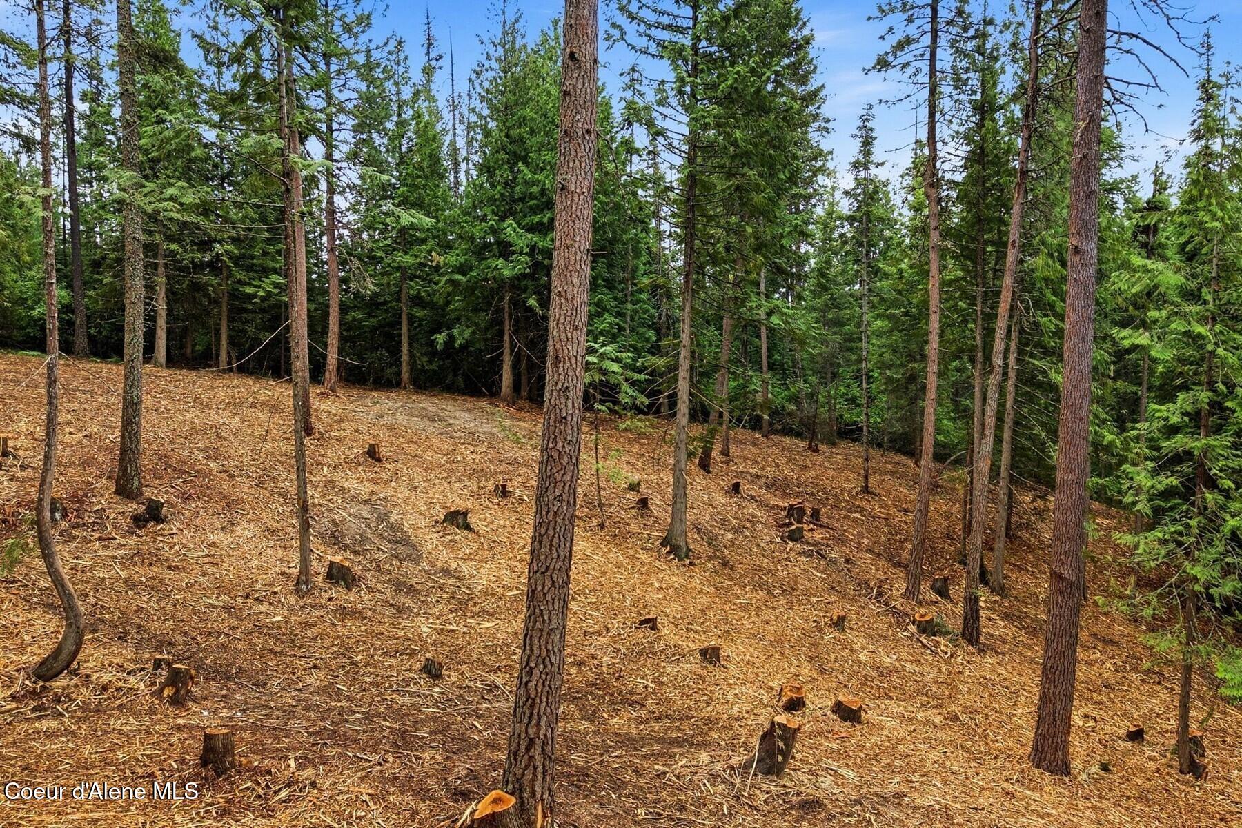 Nna Cedar Ridge Road Sandpoint, ID 83864 - Photo 12 of 30 11