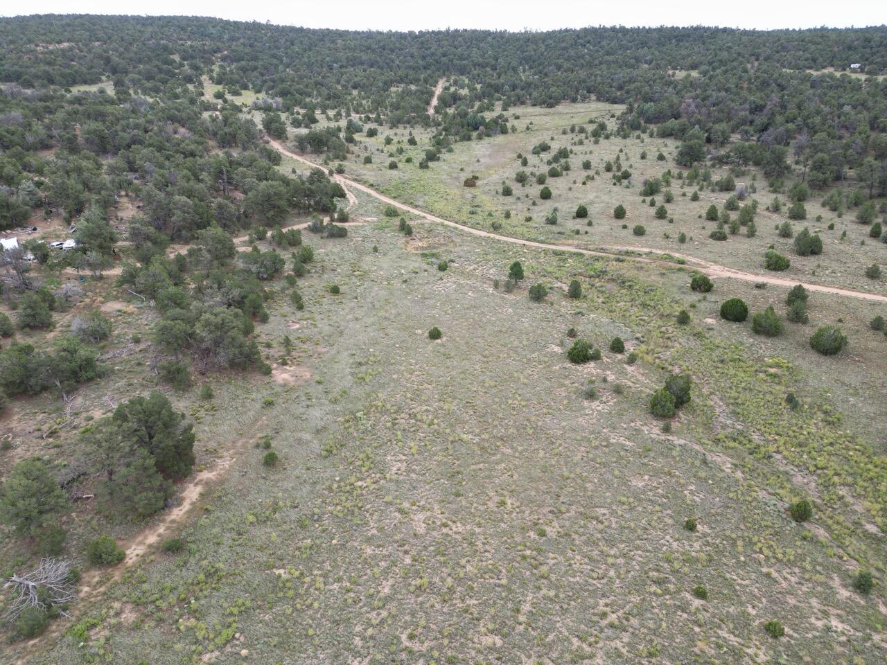 Lot 14 Candy Kitchen Road Ramah, NM 87357 - Photo 36 of 41 Gallery Image 36